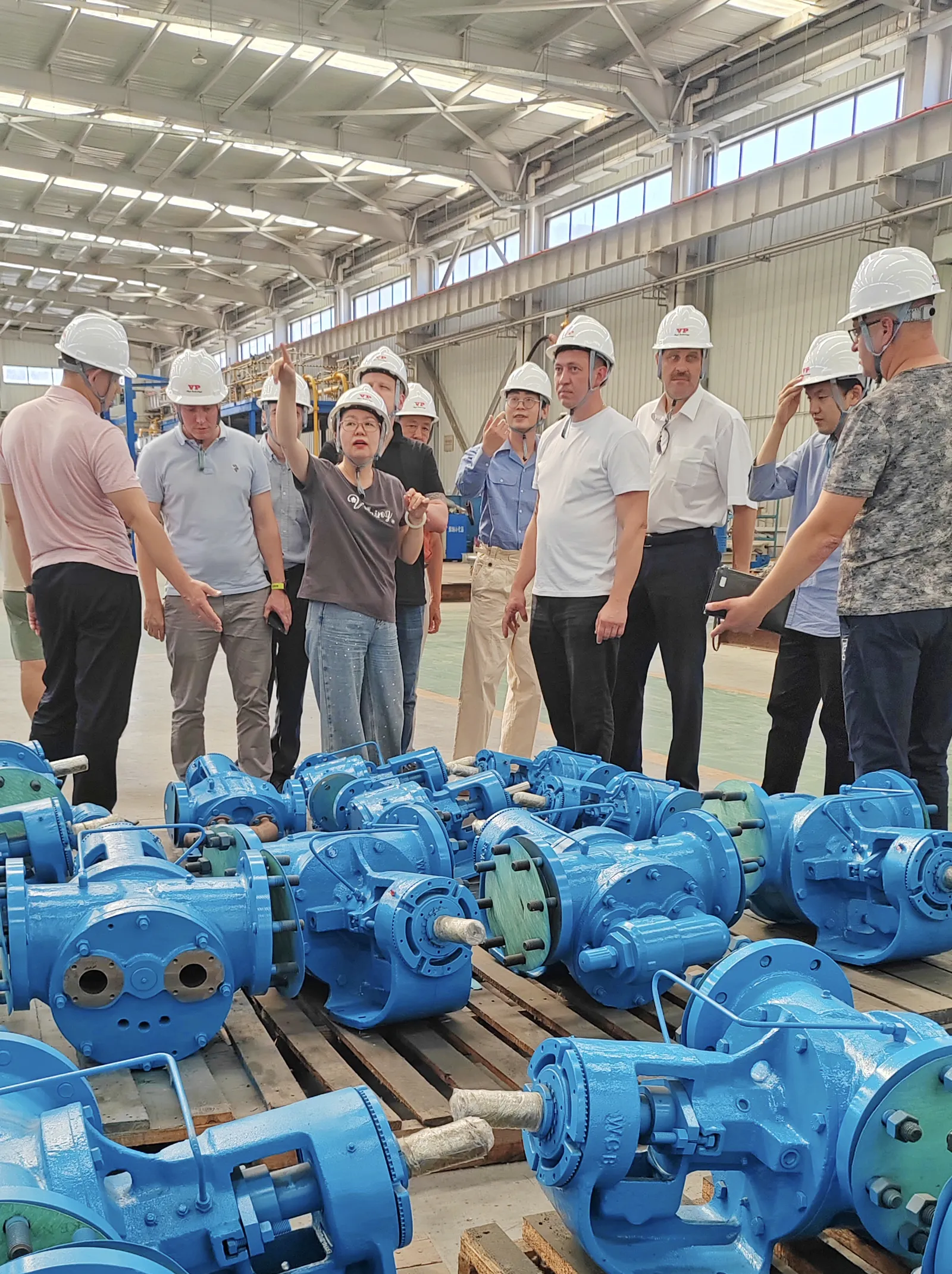 BJVP Gear Pump